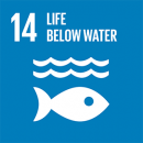 E SDG goals icons individual cmyk 14
