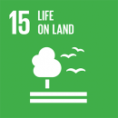 E SDG goals icons individual cmyk 15
